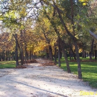 Foto de Madrid