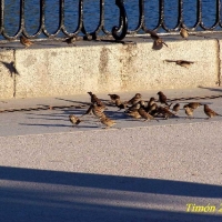 Foto de Madrid