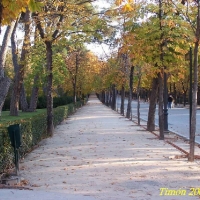 Foto de Madrid