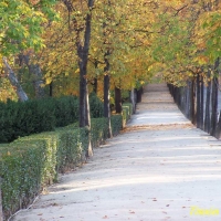 Foto de Madrid