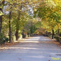 Foto de Madrid