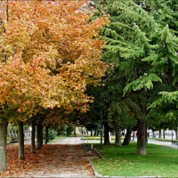 Foto de Burgos