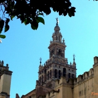 Foto de Sevilla