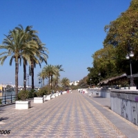 Foto de Sevilla