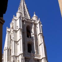 Foto de León