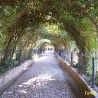 Foto de Granada