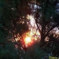 Foto de Torrevieja