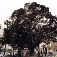 Foto de Castellón