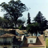 Foto de Santiago de Compostela