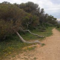 Foto de Alicante