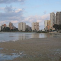 Foto de Alicante