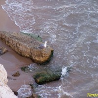 Foto de Benidorm