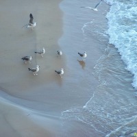 Foto de Benidorm