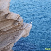 Foto de Benidorm