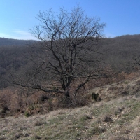 Foto de Villafranca Montes de Oca