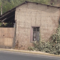 Foto de LIMACHE