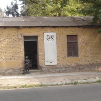 Foto de LIMACHE