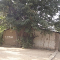 Foto de LIMACHE