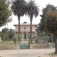 Foto de LIMACHE