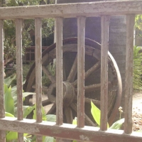 Foto de LIMACHE