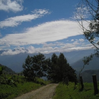Foto de Buga