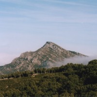 Foto de Alcalá de los Gazules