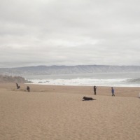 Foto de VIÑA DEL MAR