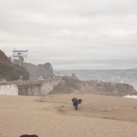 Foto de VIÑA DEL MAR