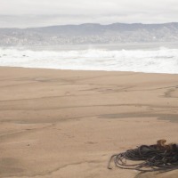 Foto de VIÑA DEL MAR