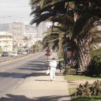 Foto de VIÑA DEL MAR