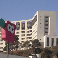 Foto de VIÑA DEL MAR