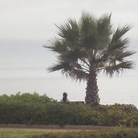 Foto de VIÑA DEL MAR
