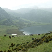 Foto de Covadonga