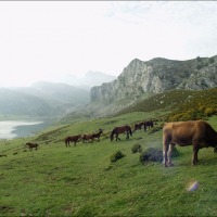 Foto de Covadonga