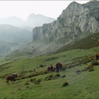 Foto de Covadonga