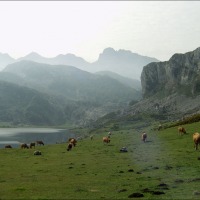 Foto de Covadonga