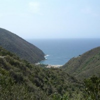 Foto de Puerto Cruz