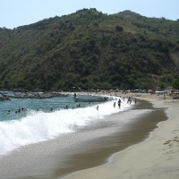 Foto de Puerto Cruz