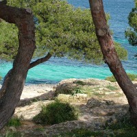 Foto de Mallorca