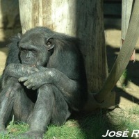 Foto de Jerez de la Frontera