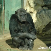 Foto de Jerez  de la Frontera