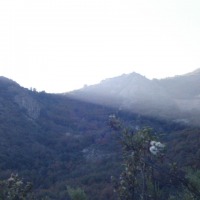 Foto de OLM UE