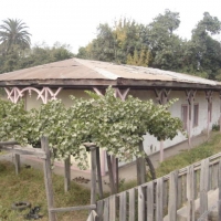 Foto de LIMACHE