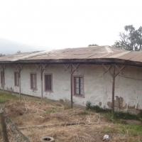 Foto de LIMACHE