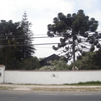Foto de LIMACHE