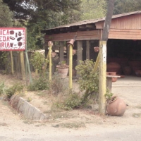 Foto de LIMACHE