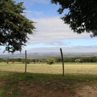 Foto de La Cumbre