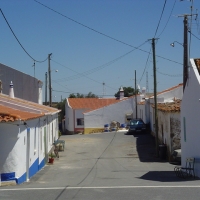 Foto de DOGUENO