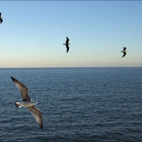 Foto de Oropesa del Mar