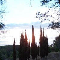 Foto de Burgos